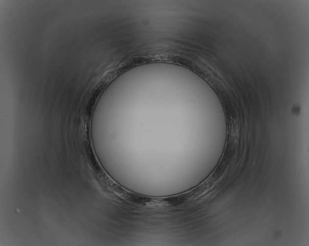 X0000091670603200708231015