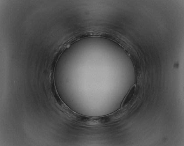 X0000091670604200708231015