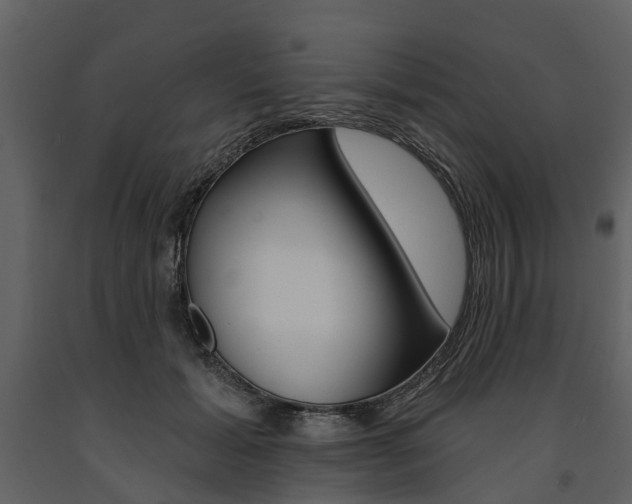 X0000091670605200708231015
