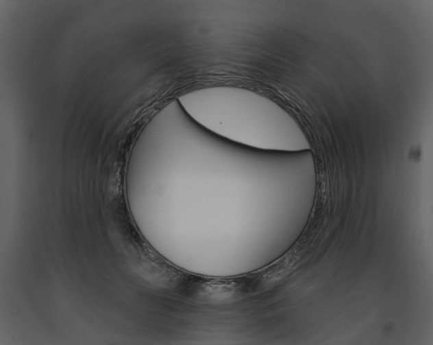 X0000091670606200708231015