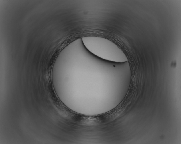 X0000091670607200708231015