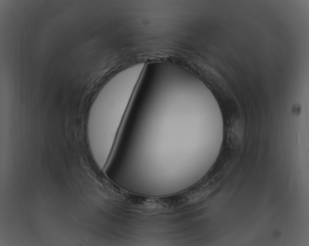 X0000091670608200708231015