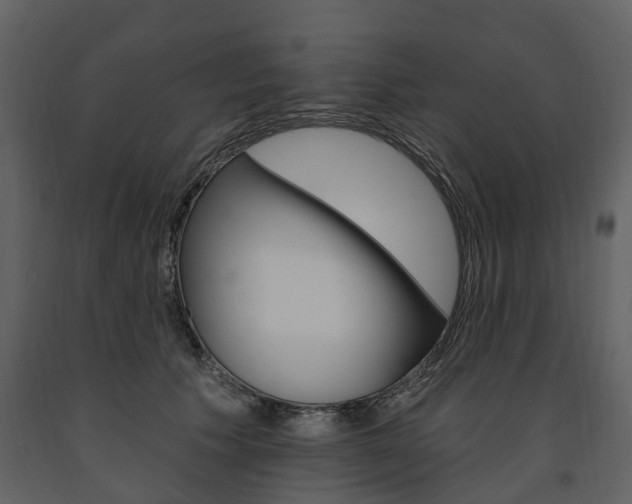 X0000091670609200708231015