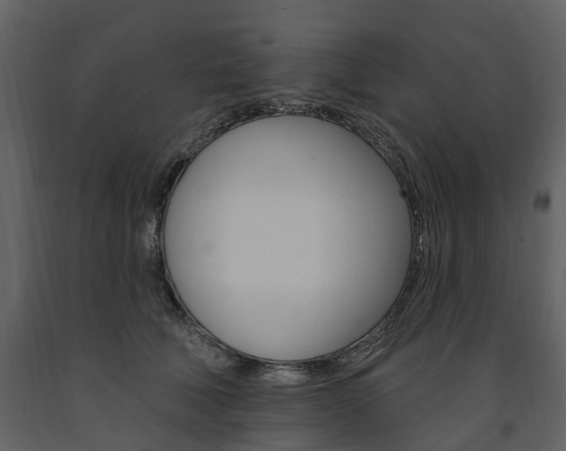 X0000091670610200708231015