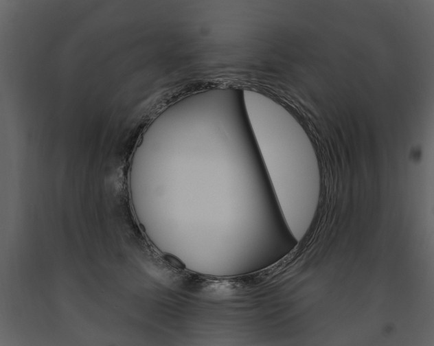 X0000091670611200708231015