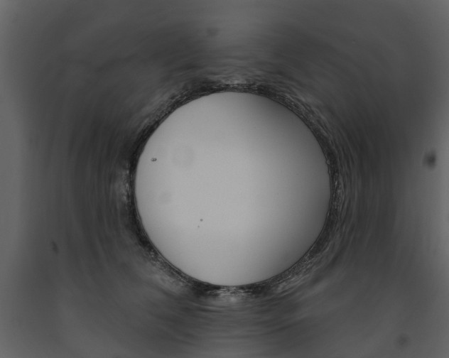 X0000091670612200708231015