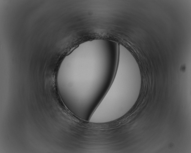 X0000091670613200708231015
