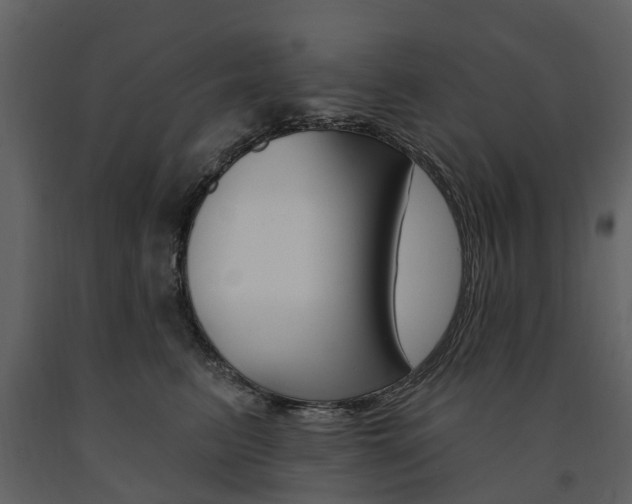 X0000091670615200708231015