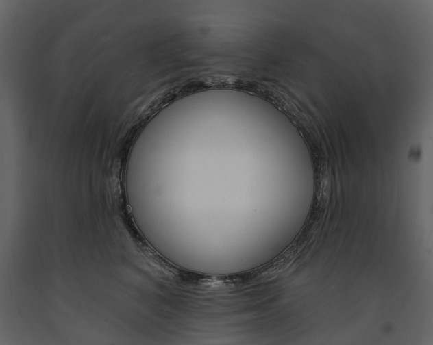 X0000091670616200708231015