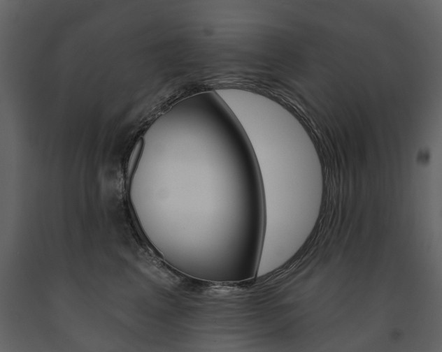 X0000091670617200708231015