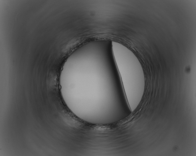 X0000091670619200708231015
