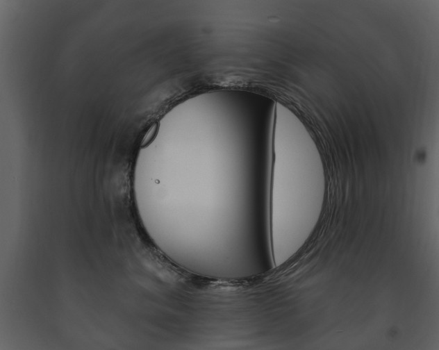 X0000091670620200708231015