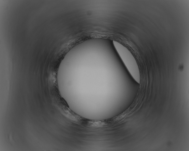 X0000091670621200708231015