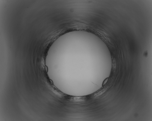 X0000091670622200708231015