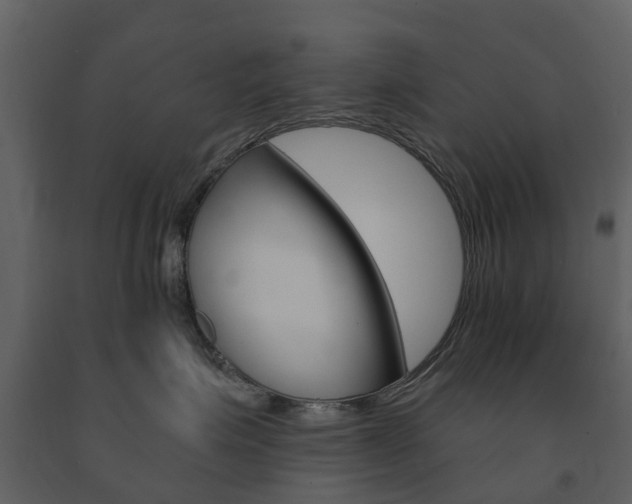 X0000091670623200708231015