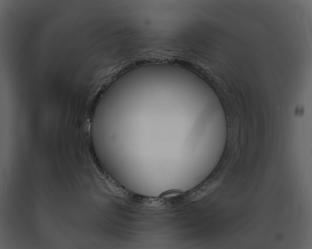 X0000091670624200708231015