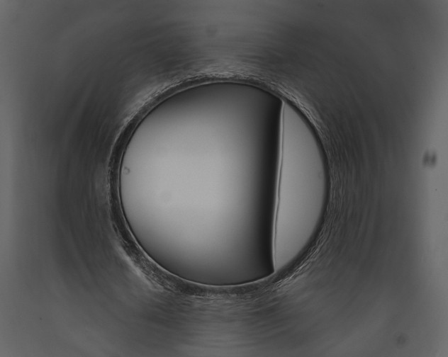 X0000091670626200708231014
