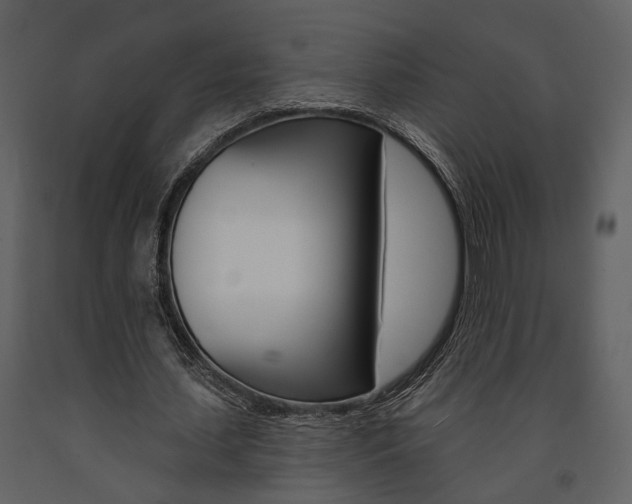 X0000091670627200708231014