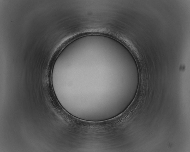 X0000091670628200708231014