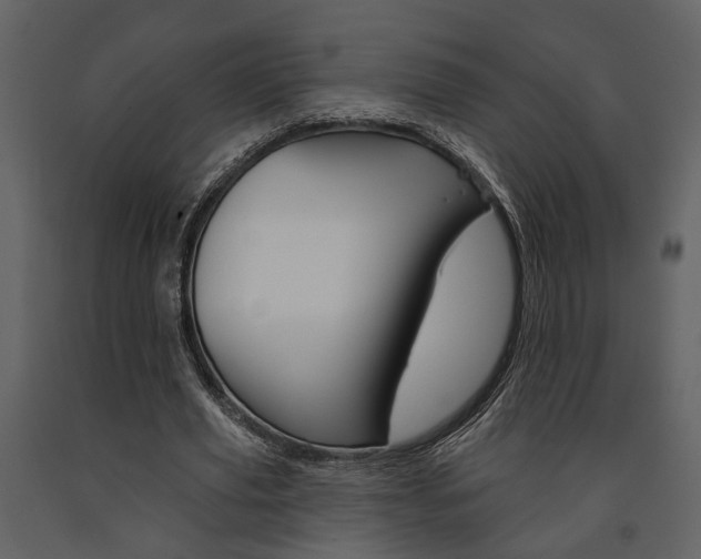 X0000091670629200708231014