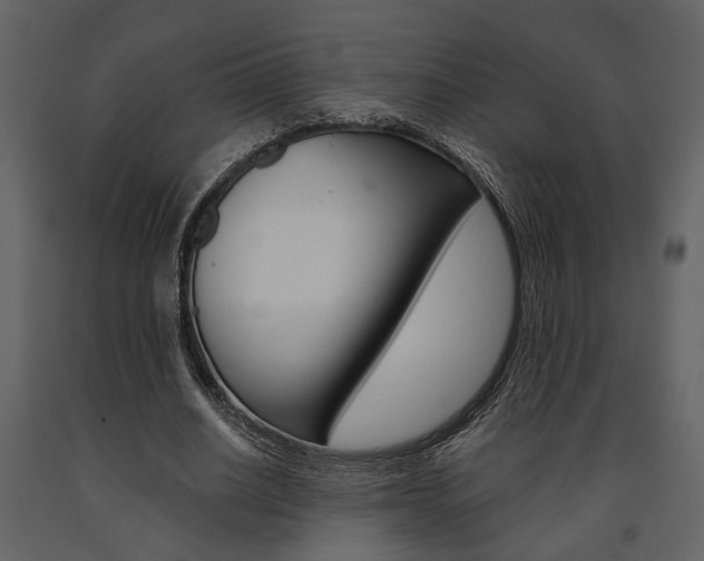 X0000091670630200708231014
