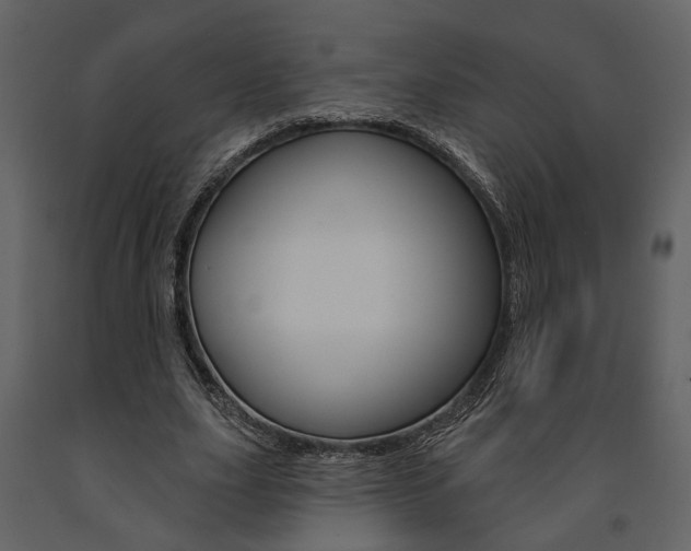 X0000091670631200708231014
