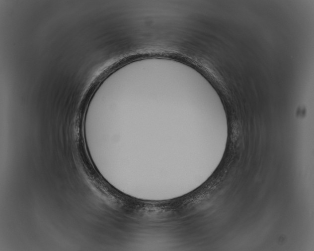 X0000091670632200708231014