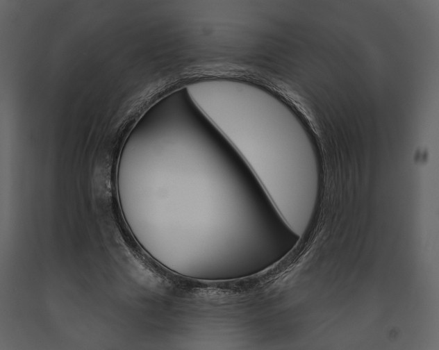 X0000091670633200708231014