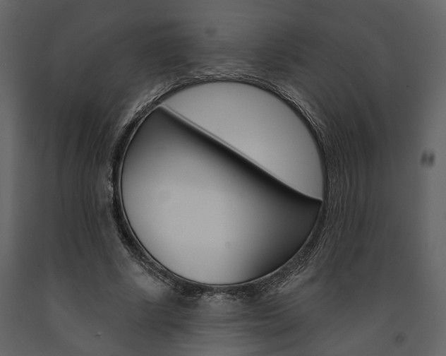 X0000091670634200708231014