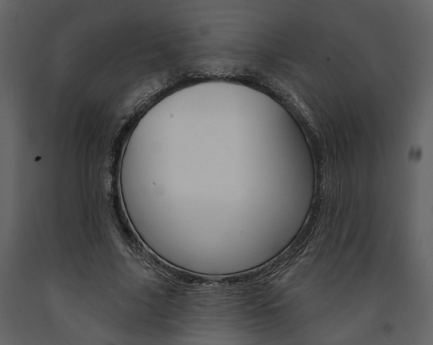X0000091670635200708231014