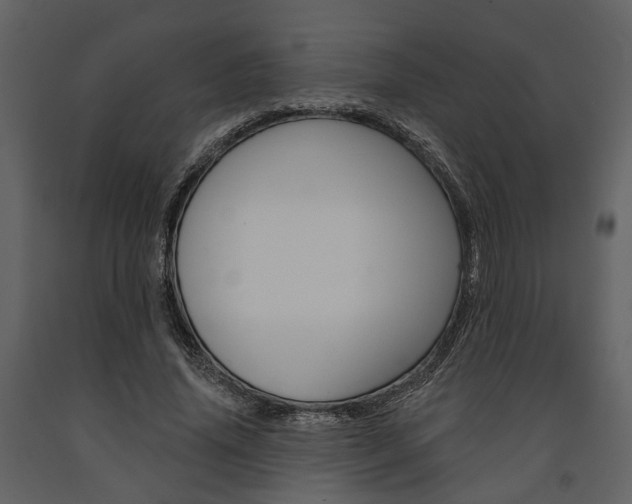 X0000091670636200708231014