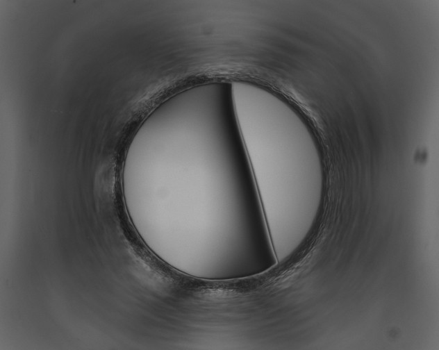 X0000091670637200708231014