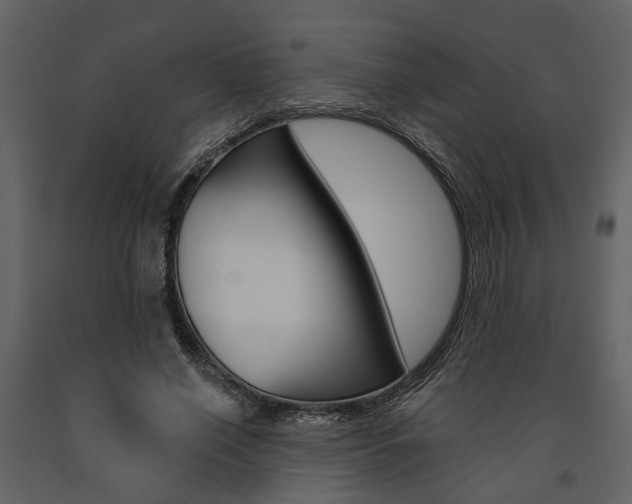 X0000091670638200708231014