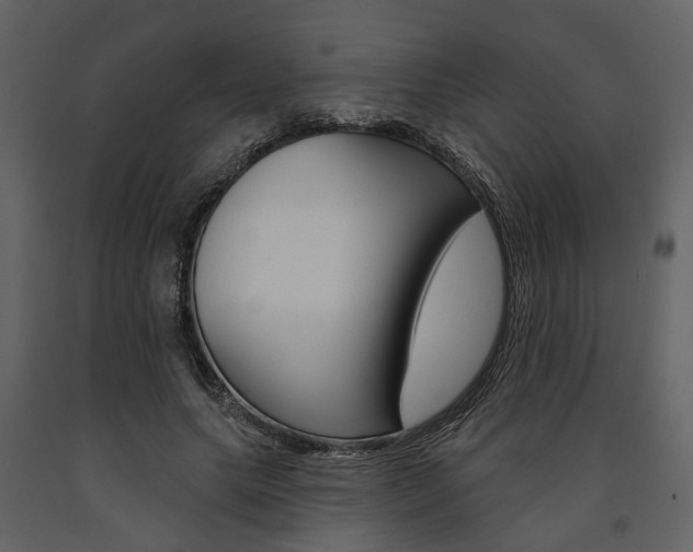 X0000091670639200708231014