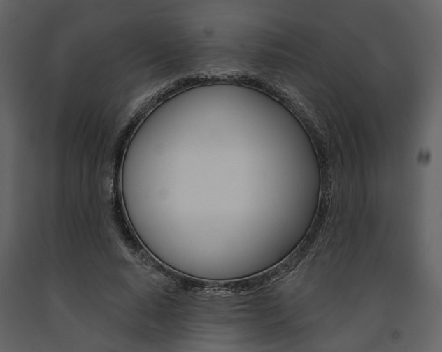 X0000091670640200708231014