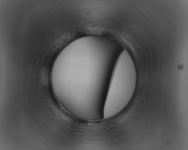 X0000091670641200708231014