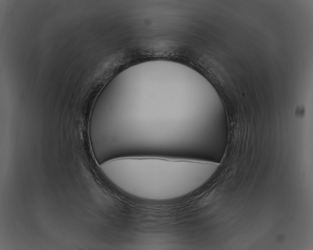 X0000091670643200708231014