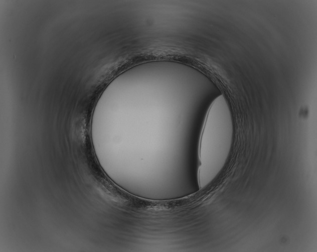 X0000091670644200708231014