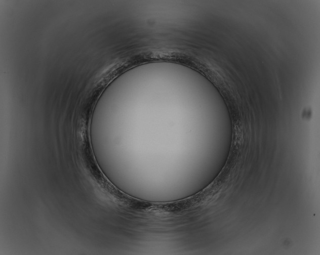 X0000091670648200708231014