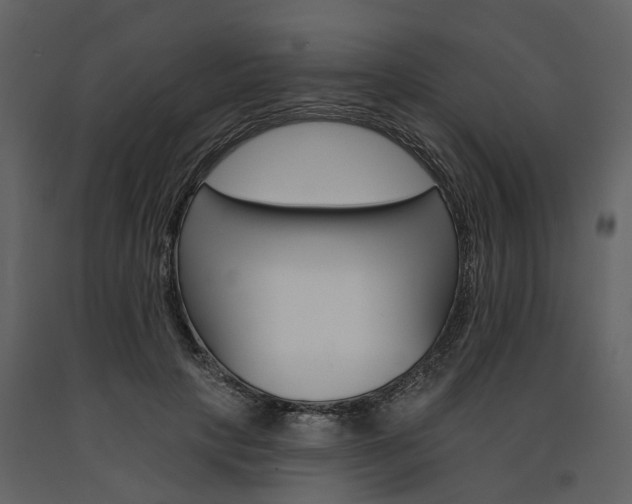 X0000091670649200708231014