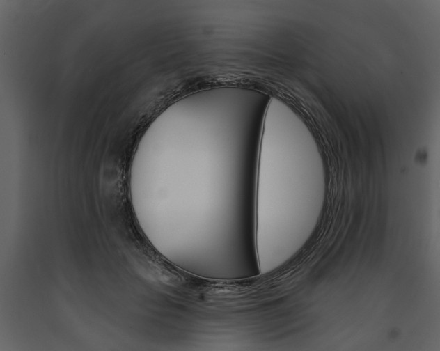 X0000091670653200708231014
