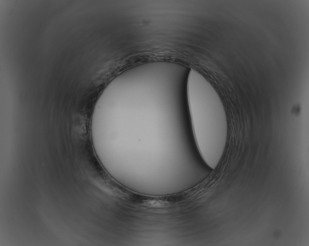 X0000091670654200708231014