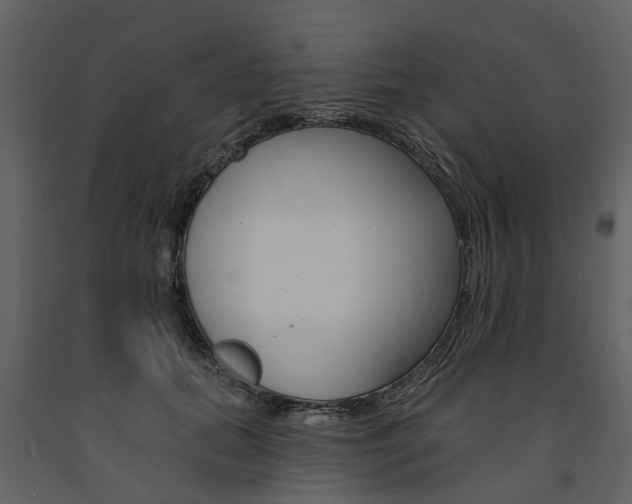 X0000091670655200708231014