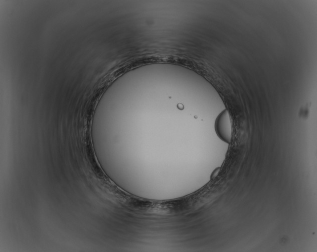 X0000091670656200708231014