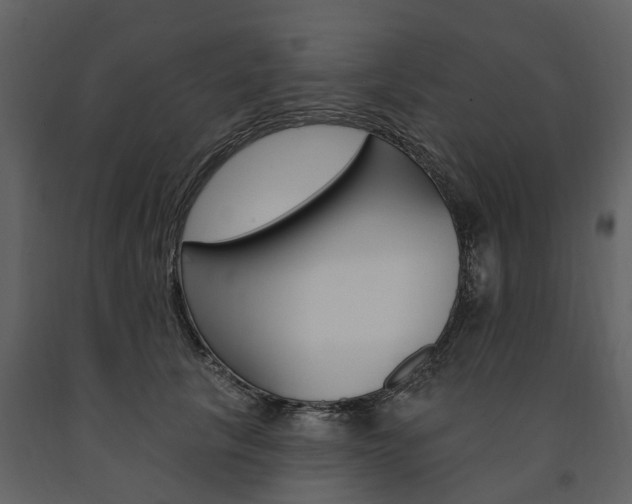 X0000091670657200708231015
