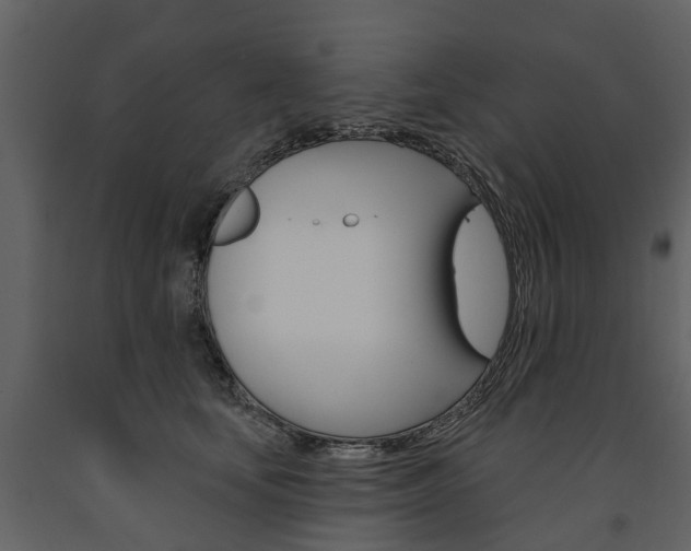 X0000091670659200708231015