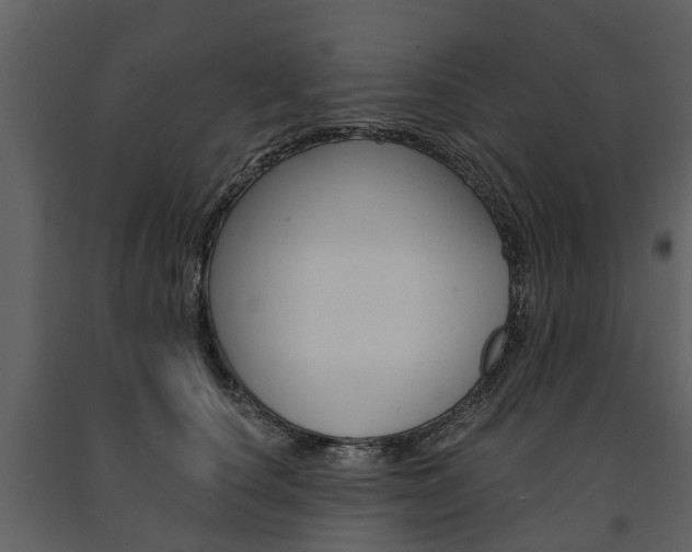 X0000091670660200708231015