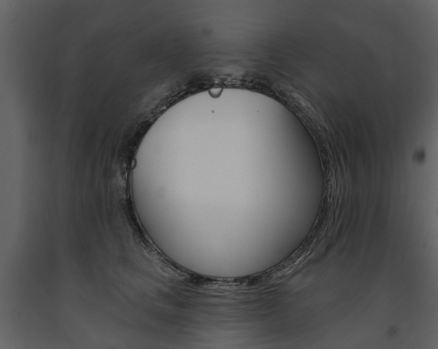 X0000091670661200708231015