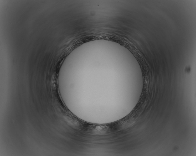 X0000091670663200708231015