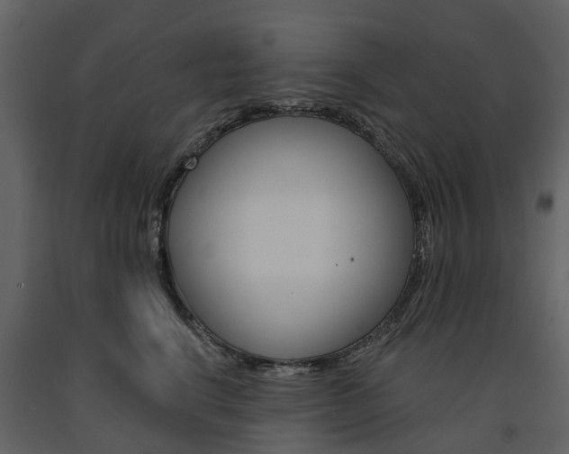 X0000091670664200708231015